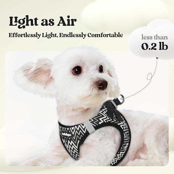 rabbitgoo Dog Harness Small Sized and Leash Set, Step in Soft Light Puppy Vest, Breathable Mesh Pet Harness, Reflective for Safe Easy Walking, Blach Zigzag S