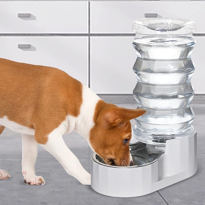 RIZZARI 8L Stainless Steel Gravity Pet Water Dispenser – Auto-Refill Waterer with Filtered Hydration Design for Dogs & Cats, Fresher Daily Drinking for Multi-Pet Homes & Indoor Spaces