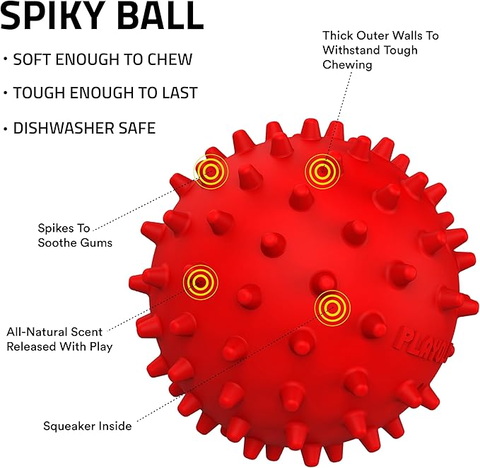 Playology Dog Toys | Squeaky Spiky Chew Ball for Medium Dogs | Beef Scented Dog Ball for Tough Chewers