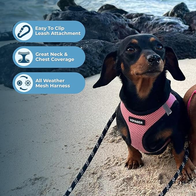Best Pet Supplies Voyager Step-in Air All Weather Mesh Harness and Reflective Dog 5ft Leash Combo with Neoprene Handle, for Small, Medium and Large Breed Puppies - Set (Pink Base), Large