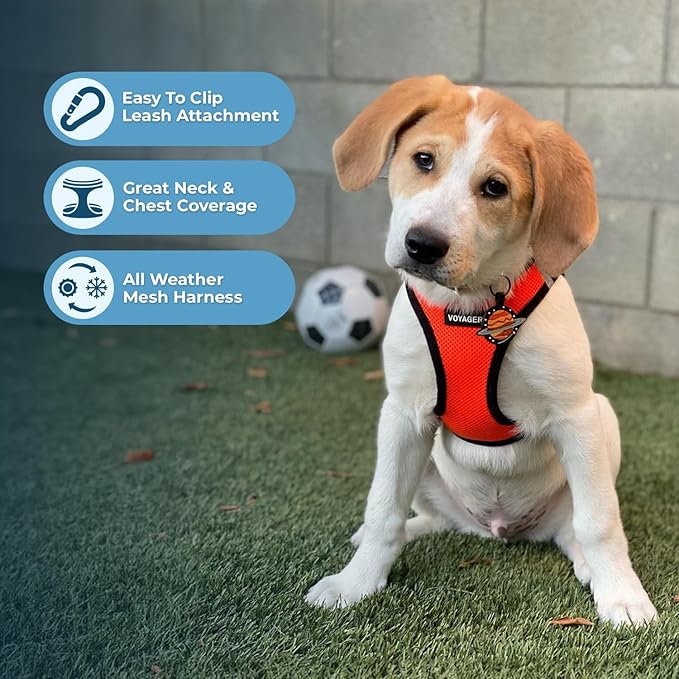 Best Pet Supplies Voyager Step-in Air All Weather Mesh Harness and Reflective Dog 5ft Leash Combo with Neoprene Handle, for Small, Medium and Large Breed Puppies - Set (Orange/Black Trim), XX-Small