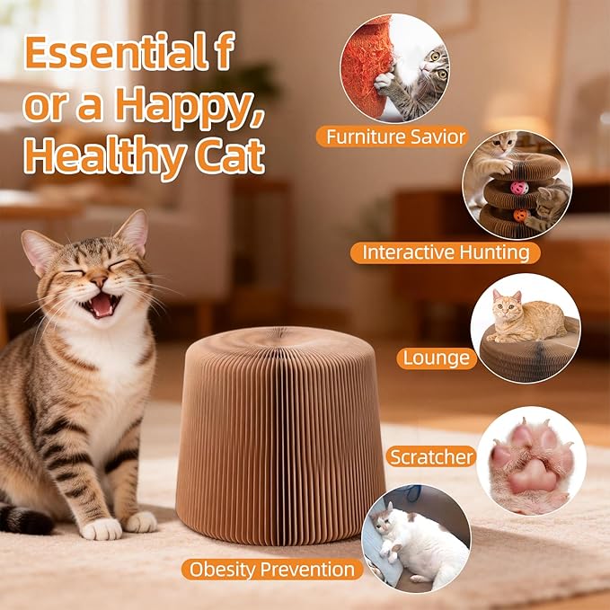 Upgraded Double Layer Accordion Cardboard Cat Toy, 2 Pack Connectable Magic Organ Cardboard Cat Scratcher with Cat Toy Ball Track for Kitten Kitty, Interactive Cats Ball Toy for Indoor Cats