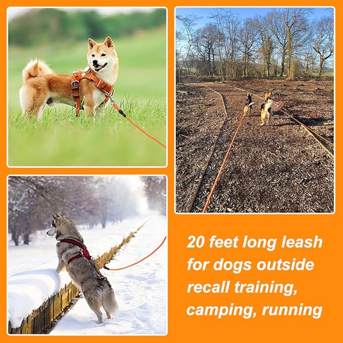 Vivifying Long Dog Leash, 32ft Floating Dog Training Leash, Check Cord Rope Lead with Comfortable Handle for Outside, Hiking, Swimming, Beach and Lake (Orange)