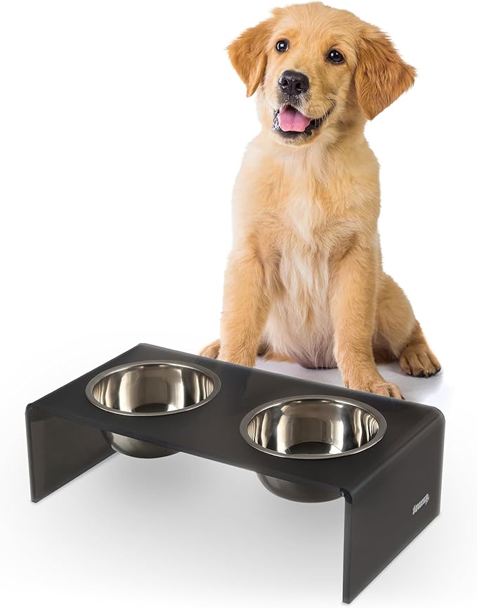 THE LICKER Store DBL2000J Keaton 5" Small/Medium Modern Acrylic Rectangular Elevated Pet Feeder with 20oz 2-Stainless Steel Bowls, Dark Gray/Chrome