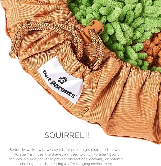 PET Parents Forager Snuffle MAT and Slow Feeder Dog Bowl, Meadow Natural