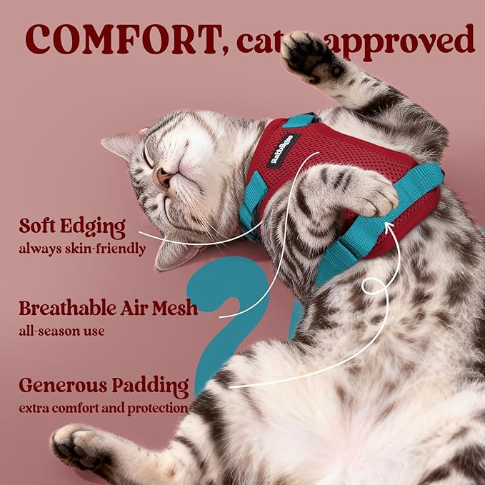 rabbitgoo Cat Harness and Leash Set, Escape Proof Kitten Harness for Safe Outdoor Walks, Soft Breathable Adjustable Vest with Reflective Strips for Kittens and Extra Small Cats, Red & Teal, XXS