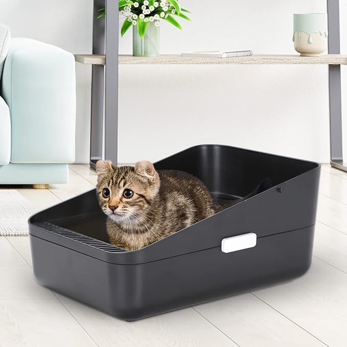 Sfozstra Black Small Cat Litter Box - Open Top with High Sides & Sifting, Leak-Proof & Odor-Reducing, Removable Liner, Easy-Clean ABS, for Cats Up to 8 lbs