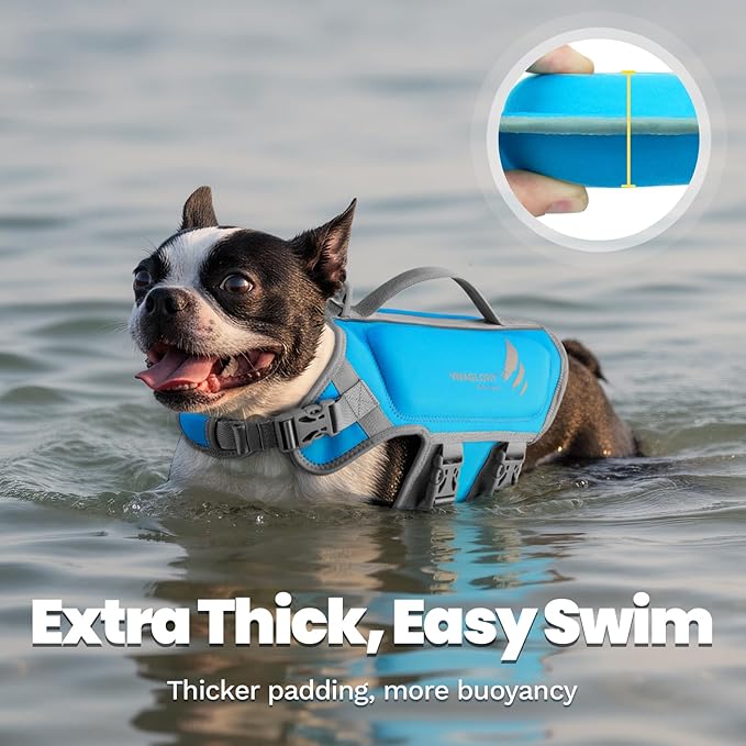 VIVAGLORY High Buoyancy Dog Life Vest, Swimming Vest with Handle, Dog Life Jacket for Swimming & Boating, Buoyancy for Puppy Doggy, S, Blue