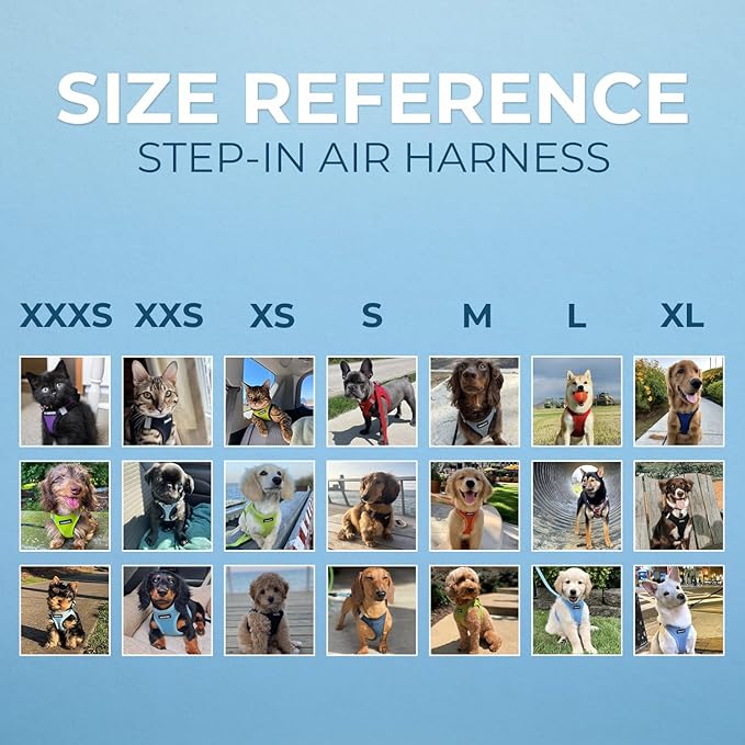 Best Pet Supplies Voyager Step-in Air Harness - All Weather Mesh, Reflective, No Pull Harness for Dogs, Cats - Secure with Hook & Loop Fastener, Buckle, Double D-Rings - Lavender, M