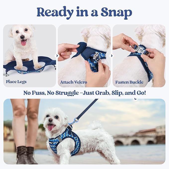 rabbitgoo Dog Harness Small Sized and Leash Set, Step in Soft Light Puppy Vest, Breathable Mesh Pet Harness, Reflective for Safe Easy Walking, Blue Zigzag S
