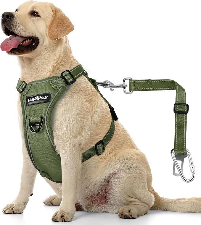 VavoPaw Dog Seat Belt Harness for Car, Dog Car Harness Adjustable Mesh Breathable & Dogs Seatbelt Safety Tether with Elastic Bungee for Small Medium Large Pets(Army Green, XL)
