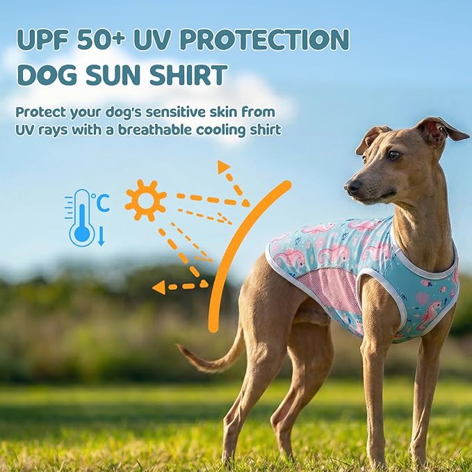 UPF 50+ Sun Protection Dog T-Shirt, 2 Pack Lightweight Sleeveless Dog Vest for Medium Dogs Girl – Reflective Strips, Quick-Dry Pet Apparel, Sports Fan Shirt P23ST00513XXL
