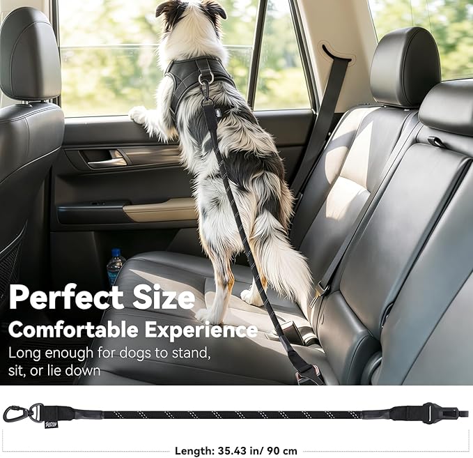 Dog Seat Belt for Car, Universal Dog Car Seatbelt with Buckle and Hook Latch, 360° Rotatable Lockable Clasp, Reflective Safety Pet Harness for Vehicle, Pet Safety Restraint, Black