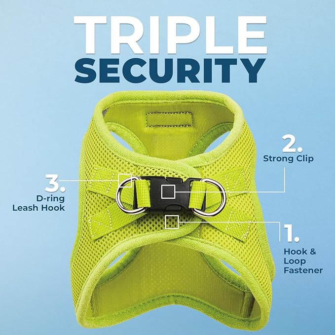 Best Pet Supplies Voyager Step-in Air All Weather Mesh Harness and Reflective Dog 5ft Leash Combo with Neoprene Handle, for Small, Medium and Large Breed Puppies - Set (Lime Green), Large