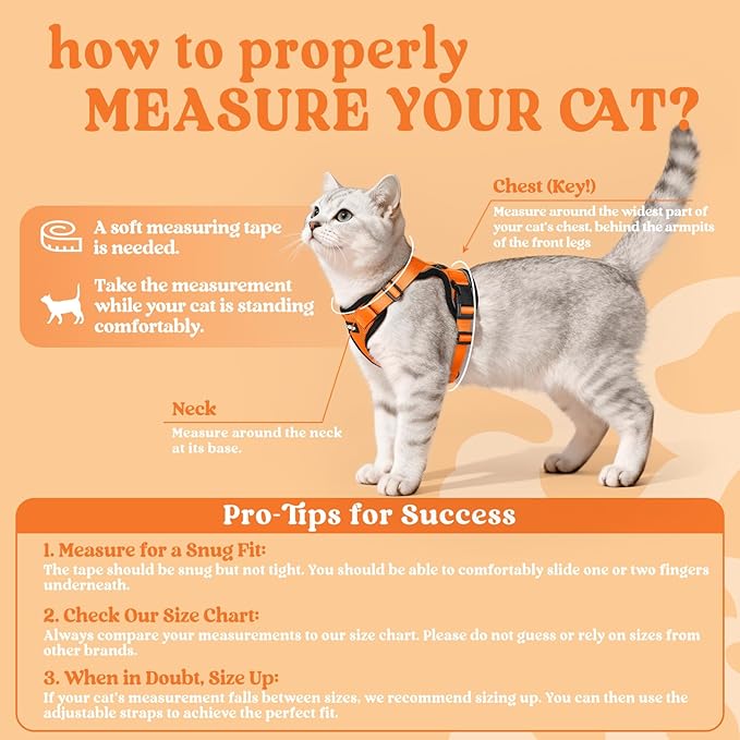 rabbitgoo Cat Harness and Leash Set, Escape Proof Vest Harness for Safe Outdoor Walks, Soft Breathable Adjustable Vest with Reflective Strips for Average to Large Cats, Orange, M