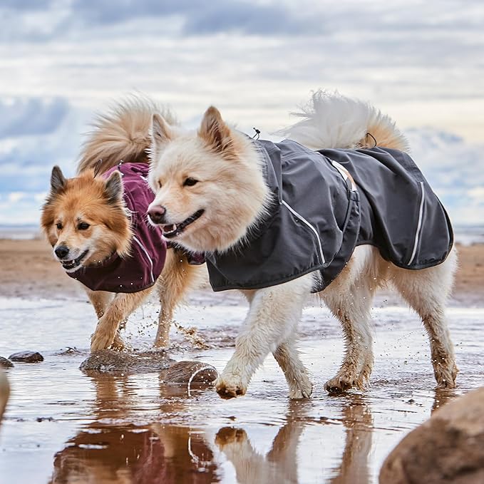 Hurtta Mudventure ECO Dog Coat, BlackBerry, 20 in