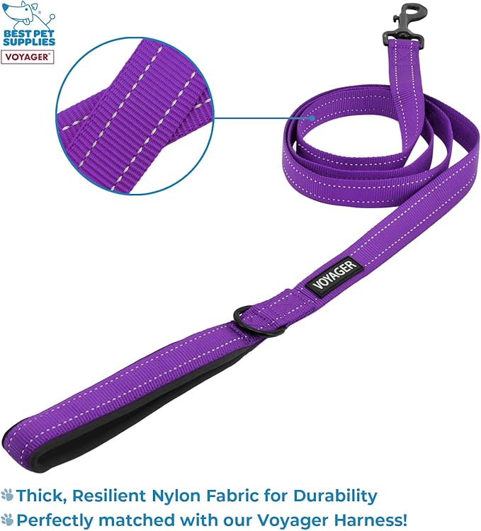 Best Pet Supplies Voyager Step-in Lock Pet Harness w Reflective Pet Leash Combo Set with Neoprene Handle 5ft - Supports Small, Medium and Large Breed Puppies/Cats - Purple Set, XXXS