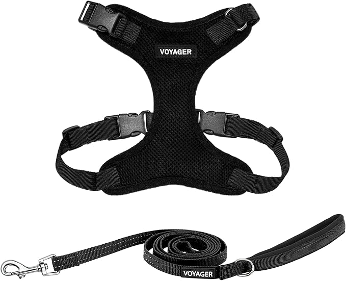 Best Pet Supplies Voyager Step-in Lock Pet Harness w Reflective Pet Leash Combo Set with Neoprene Handle 5ft - Supports Small, Medium and Large Breed Puppies/Cats - Black Set, M