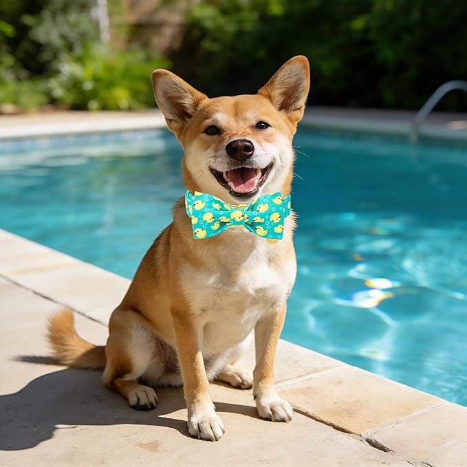 Duck Dog Collar for Boy Dogs, Spring Summer Boy Dog Collar with Bowtie- Adjustable Sailor Bow Large Dog Collars for Male Dogs XL