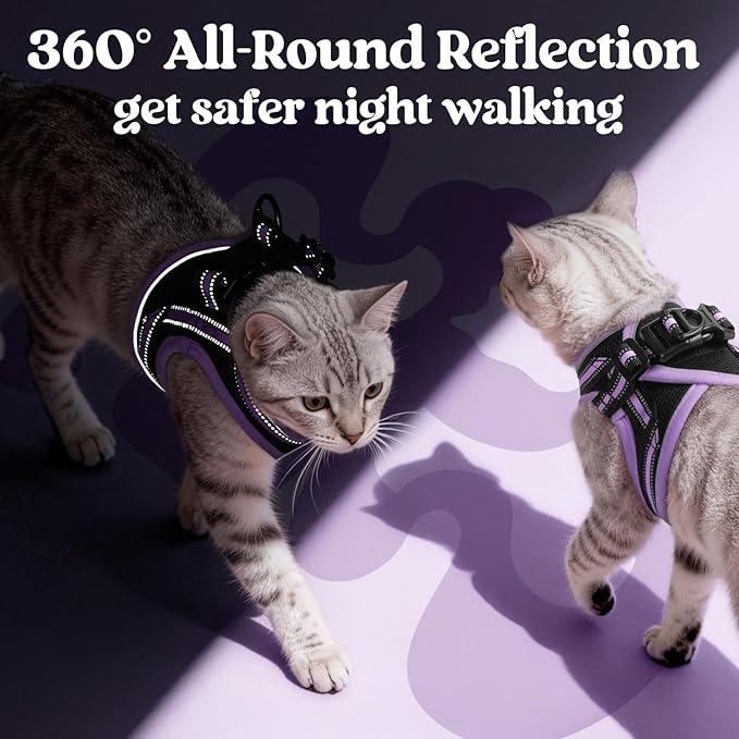rabbitgoo Cat Harness and Leash, Step-in Escape Proof Kitten Harness Set, Soft Comfortable Cat Vest, Easy to Wear and Adjust, Reflective for Safe Outdoor Walking, Black&Light Purple, Small