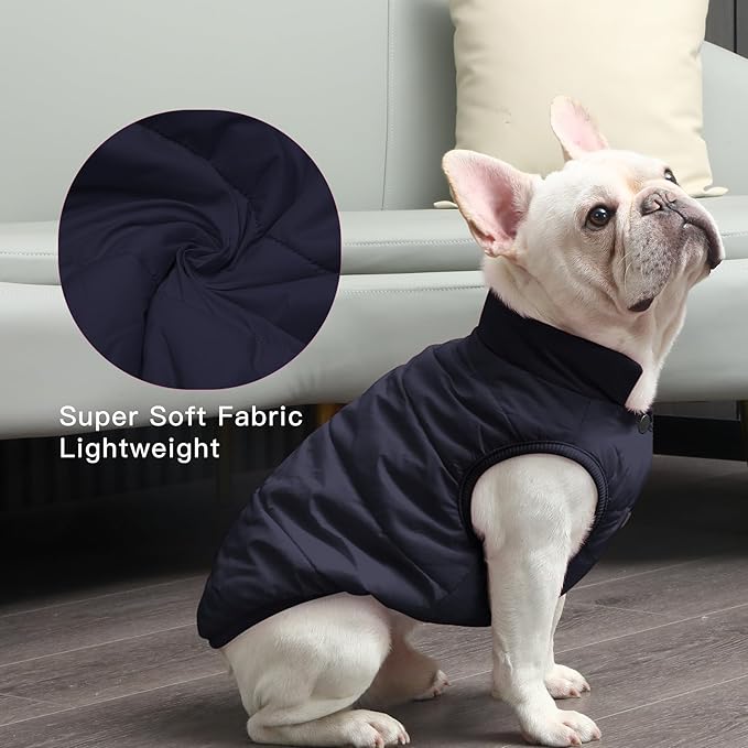 JoyDaog 2 Layers Fleece Lined Warm Dog Jacket for Winter Cold Weather,Soft Windproof Medium Dog Coat,Blue L