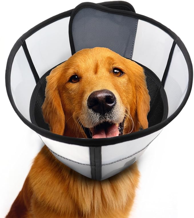 WinWeal Soft Dog Cone for Large Medium Dogs After Surgery – Adjustable Transparent Recovery Collar, Breathable Elizabethan E-Collar for Wound Healing & Anti-Licking (XS, Black)