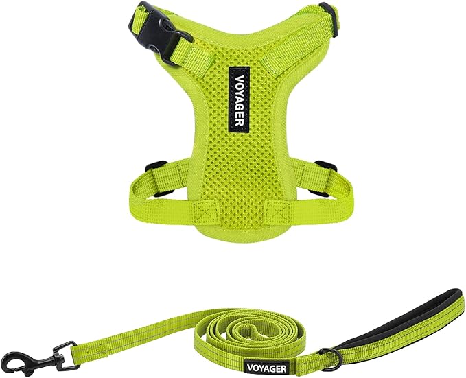 Best Pet Supplies Voyager Step-in Lock Pet Harness w Reflective Pet Leash Combo Set with Neoprene Handle 5ft - Supports Small, Medium and Large Breed Puppies/Cats - Lime Green Set, XXS