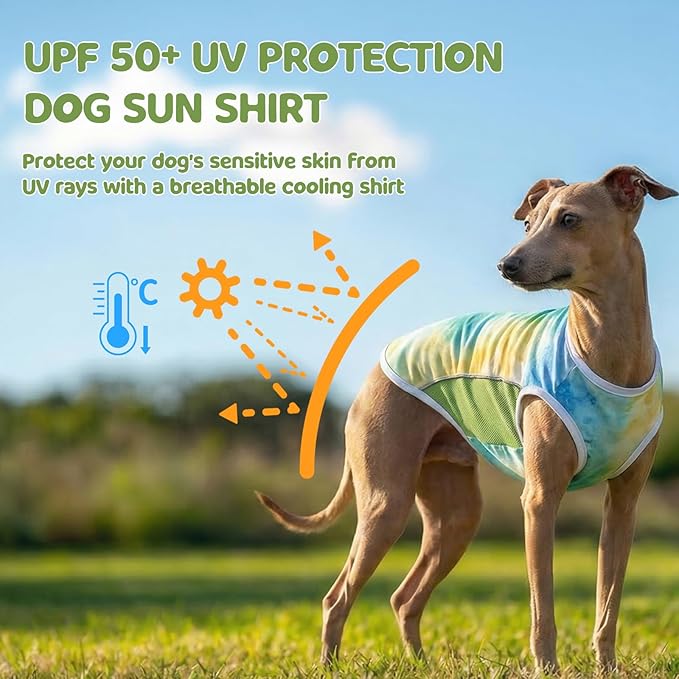 UPF 50+ Sun Protection Dog T-Shirt, 2 Pack Lightweight Sleeveless Dog Vest for Small Medium Dogs Boy – Reflective Strips, Quick-Dry Pet Apparel, Sports Fan Shirt P23ST00508L
