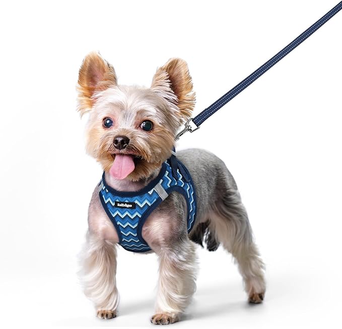 rabbitgoo Dog Harness Small Sized and Leash Set, Step in Soft Light Puppy Vest, Breathable Mesh Pet Harness, Reflective for Safe Easy Walking, Blue Zigzag XS