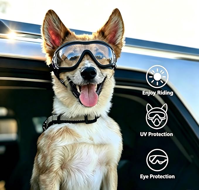 LESYPET Dog Goggles Large Breed, UV Wind Dust Protection Large Dog Sunglasses Eye Protection, Eye Wear Pet Glasses with Adjustable Strap for Outdoor Riding, L