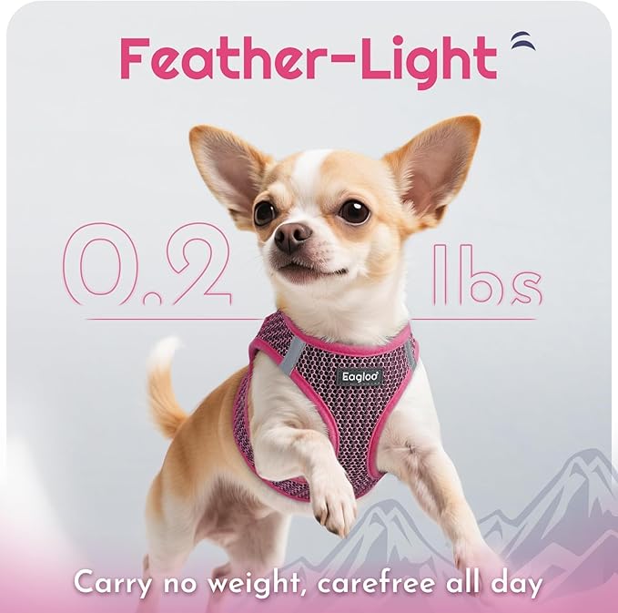 Eagloo Small Dog Harness and Leash Set, Step in Puppy Vest with Breathable Soft Mesh, Walking Reflective Pet Harness for Small Dogs, Rose Red, XS