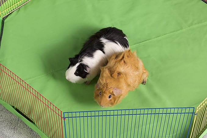 Prevue Pet Products Multi-Color Small Pet Playpen - Animal Pen for Rabbits, Guinea Pigs, Hamsters, Tortoises, Bunny Enclosure, Easy to Assemble, Indoor & Outdoor