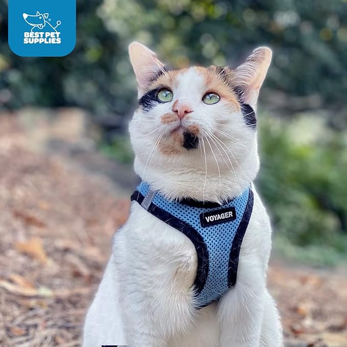 Best Pet Supplies - All Weather Mesh / Plush, Reflective, No Pull Harness for Small, Medium Dogs, Cats - Secure with Hook & Loop Fastener, Buckle, Double D-Rings - Baby Blue/Black Trim, XS
