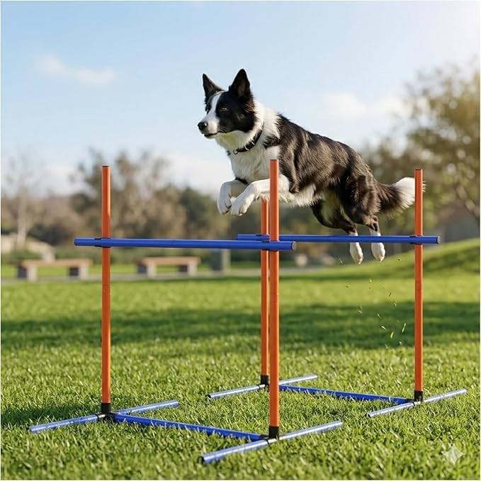 Dog Agility Equipment - Complete Dog Agility Course Backyard Set Including Tunnel & Obstacle Course, Professional Training Equipment for Dogs