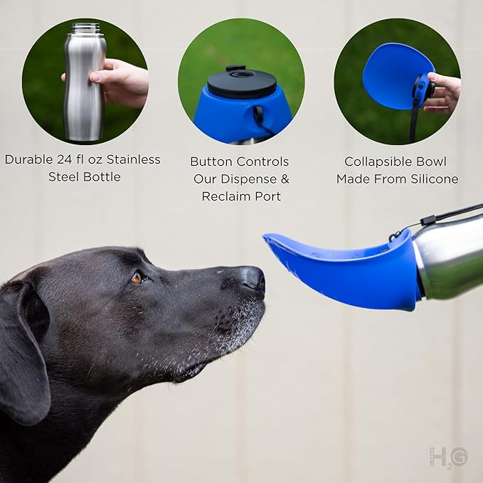 Portable Dog Water Bottle, 24 oz, Stainless Steel, Convenient Pet Water Dispenser, Collapsible Travel Bowl, Walking, Hiking, and Outdoor Activity, Compatible with Various Pets, Houd2Go (Orange, 24oz)