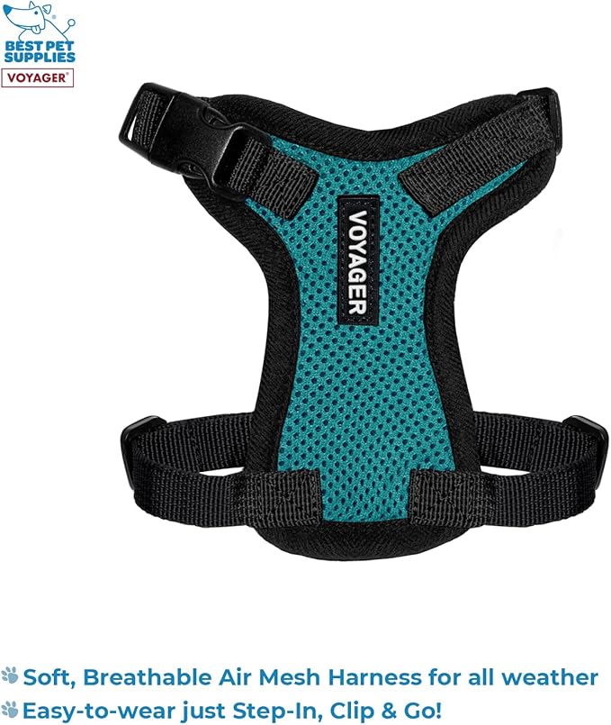 Best Pet Supplies Voyager Step-in Lock Pet Harness w Reflective Pet Leash Combo Set with Neoprene Handle 5ft - Supports Small, Medium and Large Breed Puppies/Cats - Turquoise/Black Trim Set, XXS