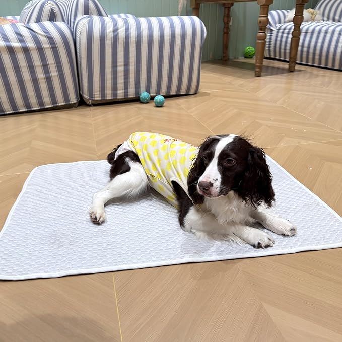 Dog Cooling Mat 38"x26" for Medium Dogs (Corgis, French Bulldogs), Q-Max>0.4 Ice-Silk, Waterproof Non-Slip Machine Washable for Crate Indoor Outdoor Travel (M)
