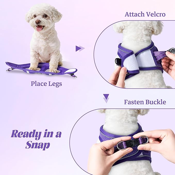 YIMEIS Dog Harness and Leash Set, No Pull Soft Mesh Pet Harness, Reflective Adjustable Puppy Vest for Small Medium Large Dogs, Cats (Purple, Medium (Pack of 1)