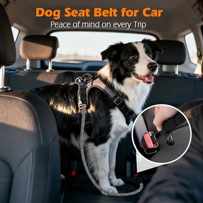 PetBonus Dog Seat Belt for Car, Durable Rope Dog Car Harness Seatbelt for Vehicle, Pet Tether Safety Restraint with Heavy Duty Buckle Hook Latch Lockable Clip for Small Medium Large Breeds (Grey)