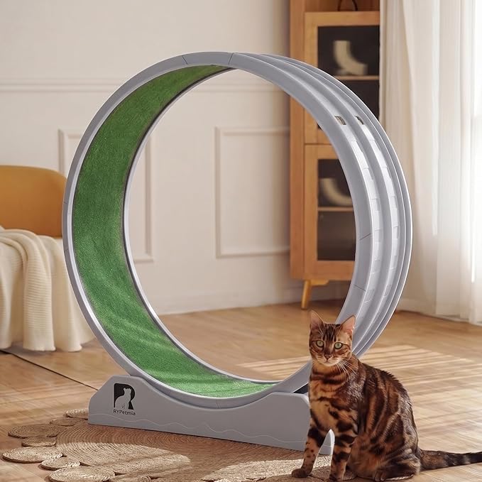 Cat Exercise Wheel, 47.2 Inch Indoor Treadmill for Cats with Carpeted Runway, Screw-Fixed Assembly for Easy Setup, Silent & Safe Fitness Equipment for Most Cats