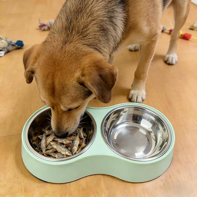 Large Green Double Pet Bowl – Non-Slip Stainless Steel Food & Water Set for Medium/Large Dogs & Multiple Cats, BPA-Free Mess-Free Feeding Dishes