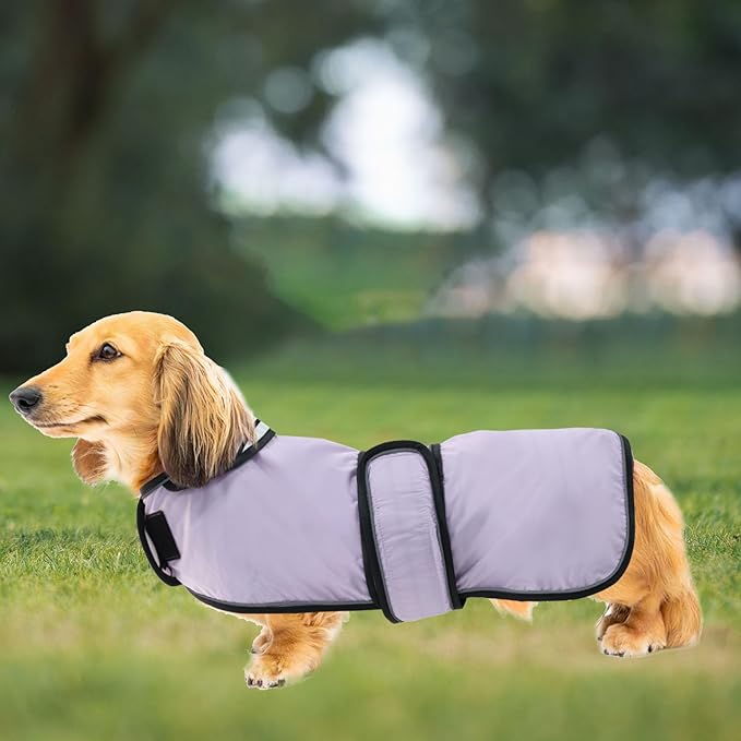 Dachshund Raincoat Corgi Raincoat Dogs Waterproof fit for Dachshunds Weiner Long Back Breeds with Reflective Stripe Great Coverage in Autumn Winter Purple M