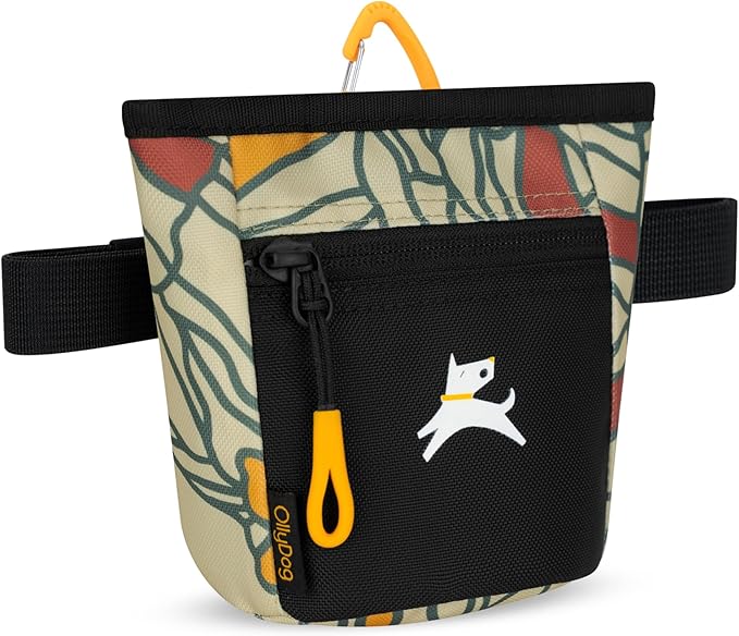 OllyDog Goodie Treat Bag, Dog Treat Pouch, Waist Belt Clip for Hands-Free Training, Magnetic Closure, Dog Training and Behavior Aids, Three Ways to Wear (Fiori)