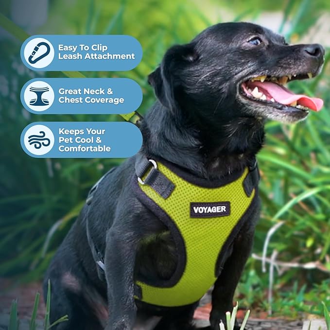 Best Pet Supplies Voyager Step-in Lock Pet Harness w Reflective Pet Leash Combo Set with Neoprene Handle 5ft - Supports Small, Medium and Large Breed Puppies/Cats - Lime Green/Black Trim Set, M