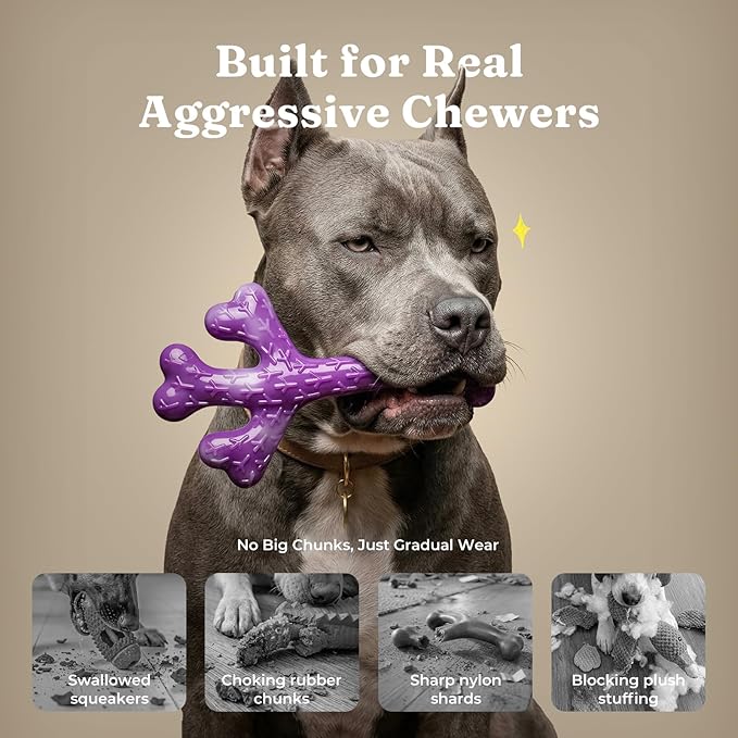 Frienhund 2 Pack Indestructible Dog Chew Toys for Aggressive Chewers - XL Textured Cactus with Grooves for Peanut Butter & Yogurt, Beef Nylon Bones for Large Dogs 20-90 lbs, Easy Chew & Long Lasting