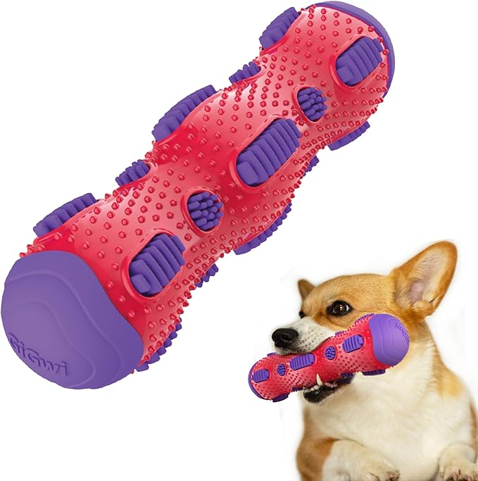 Gigwi Toothbrush Stick Dog Toy for Teeth Cleaning, Durable Rubber Dental Chewy Toy for Medium and Large Dog, Purple Color
