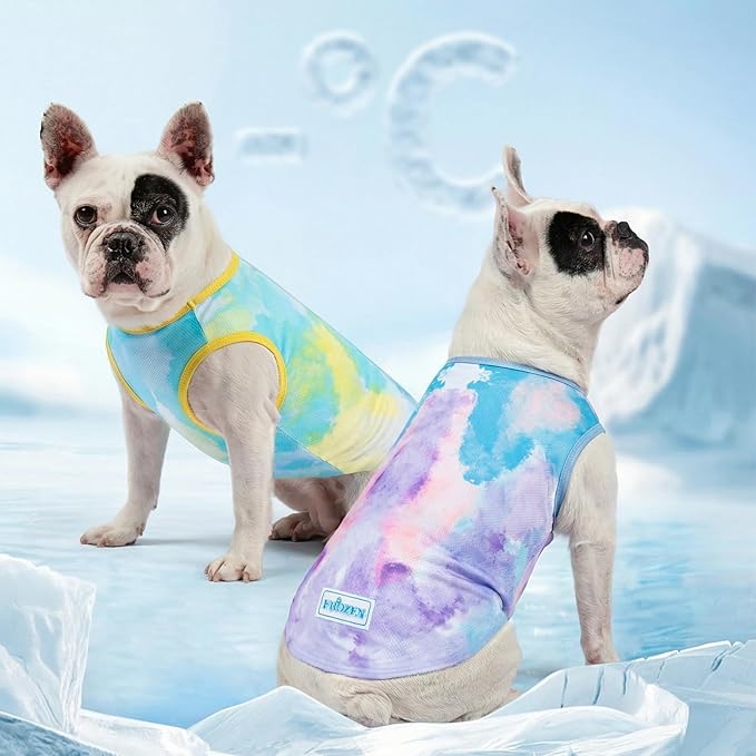 KYEESE 2Pack Dog Cooling Shirt, Breathable Dog Shirt for Small Dogs, Sun Protection Dogs Cooling Vest Tank Top, Lightweight Soft Sleeveless Summer Pet Clothes, Purple+Blue, M