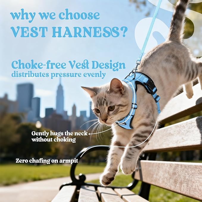 rabbitgoo Cat Harness and Leash Set, Escape Proof Kitten Harness for Safe Outdoor Walks, Soft Breathable Adjustable Vest with Reflective Strips for Kittens and Extra Small Cats, Light Blue, XXS
