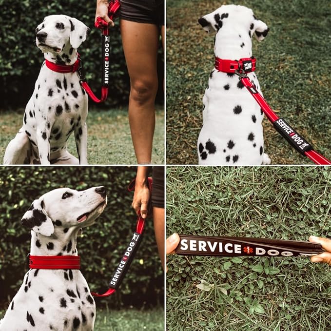 Tuff Pupper Waterproof Leash Sleeve | Fits Any Standard Size 1 Inch Wide Leash | Dual Sided Message | Durable Neoprene & Silicone | Odor & Stink Proof | Easy Secure On & Off (2 Pack, Service Dog)