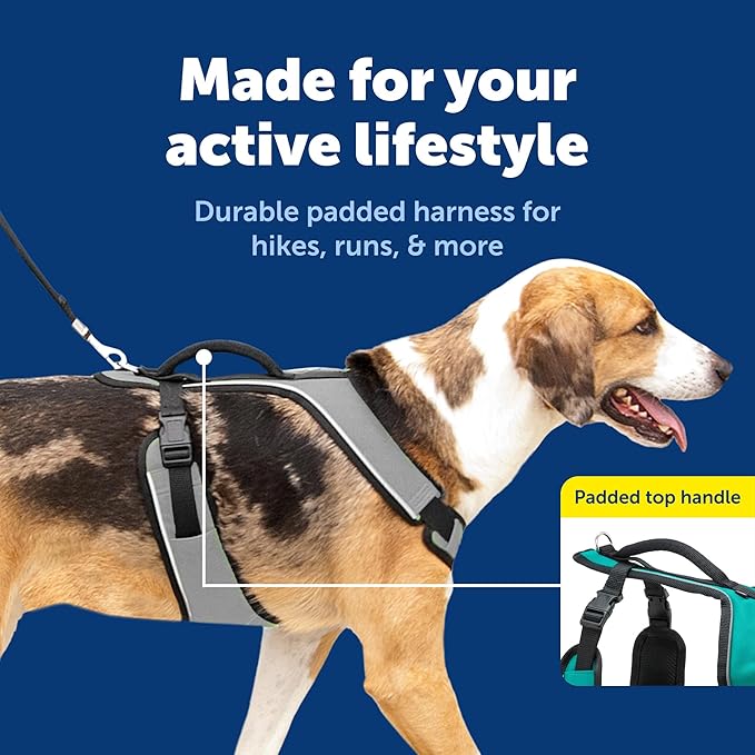 PetSafe EasySport Dog Harness - Padded, Adjustable Dog Harness with Control Handle and Reflective Piping - Great for Active Dogs - from the Makers of the Easy Walk Harness - Large, Charcoal